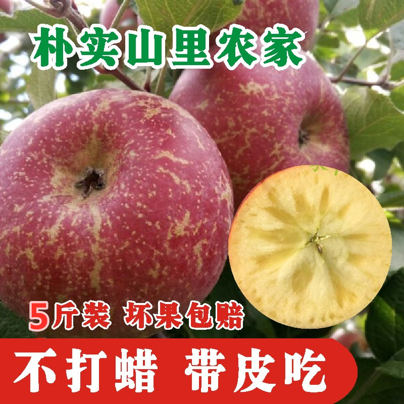 38.90元包邮现摘云南农家冰糖心野生丑苹果孕妇甜脆新鲜水果非红富士5斤包邮