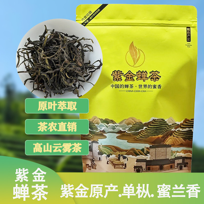 春茶紫金蝉茶单枞蜜兰香高山茶特级250g虫咬紫金禅茶紫金龙窝绿茶