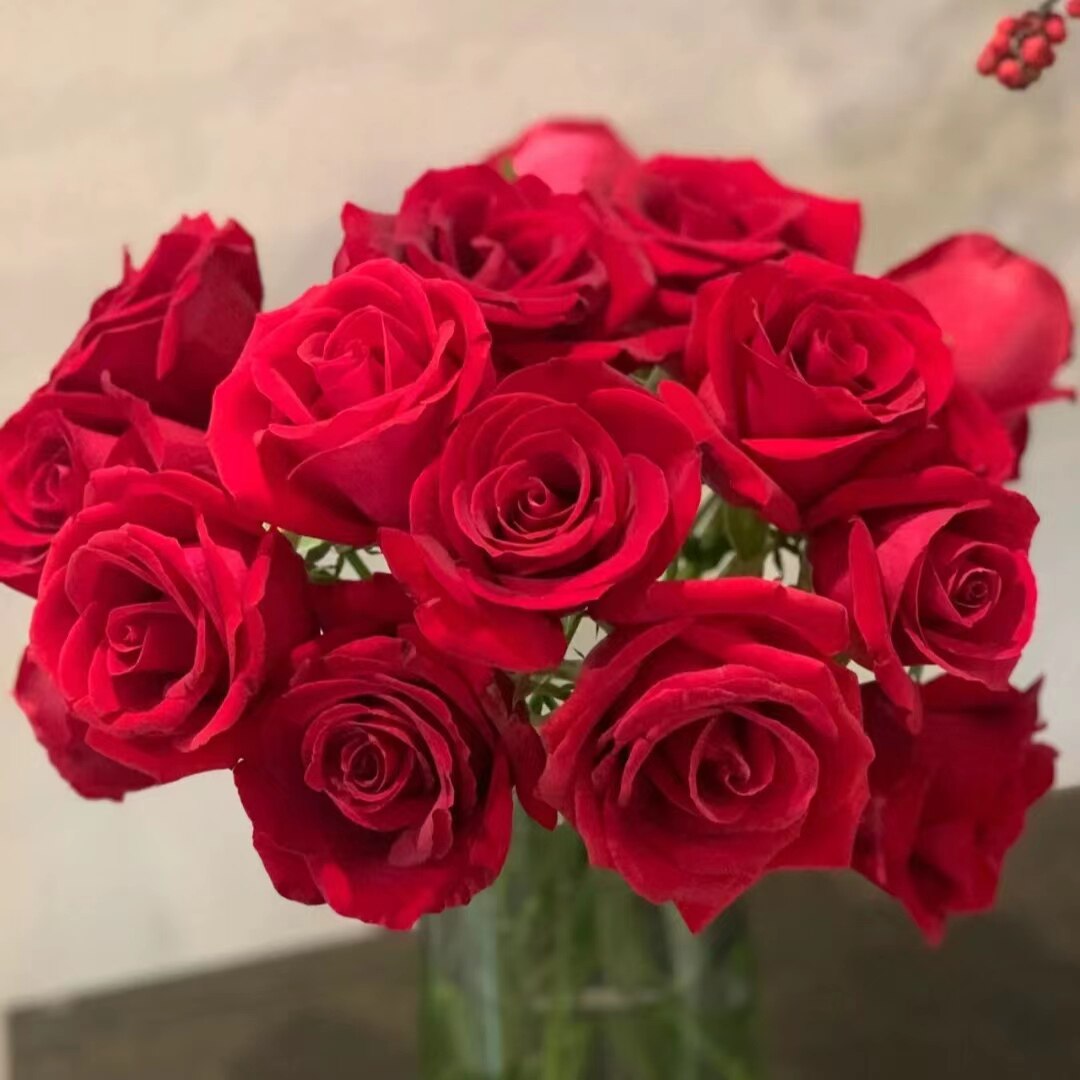 6朵卡罗拉红玫瑰瓶插花周花玫瑰简约办公室餐桌装饰佛山南海花店