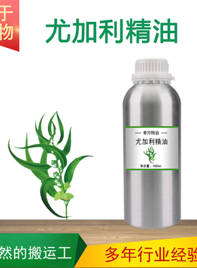 蓝胶尤加利精油 桉树油Patchouli  单方精油按摩香薰SPA