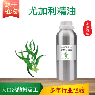 蓝胶尤加利精油 桉树油Patchouli  单方精油按摩香薰SPA