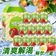 包邮 原装 12瓶 果味 韩国进口饮料整箱饮品 LOTTE乐天苹果汁238ml