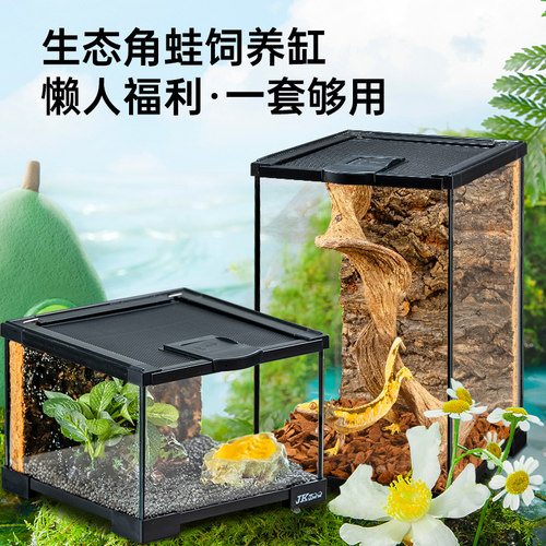 JKZOO爬宠角蛙爬虫缸寄居蟹守宫
