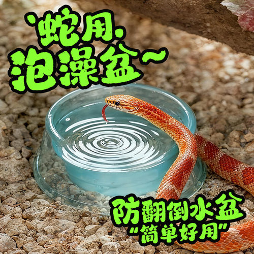 爬虫食盆水盆守宫蜥蜴玩具蛇角蛙泡澡盆姥爷树蛙饲养箱造景饮水盆
