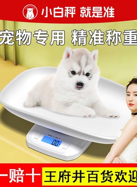 小白秤宠物体重秤猫咪狗狗称重器小动物专用称重医院宠物店同款