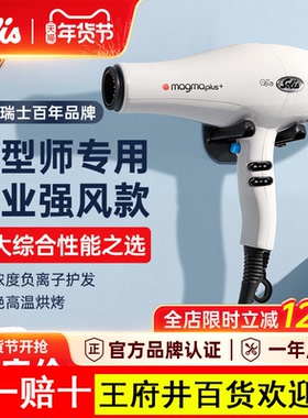 Solis/索利斯吹风机理发店大风力发型师专用发廊负离子268/261