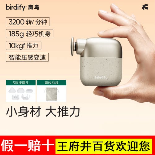 birdify岚鸟G30迷你筋膜枪肌肉按摩器按摩枪女专用静音母亲节礼物