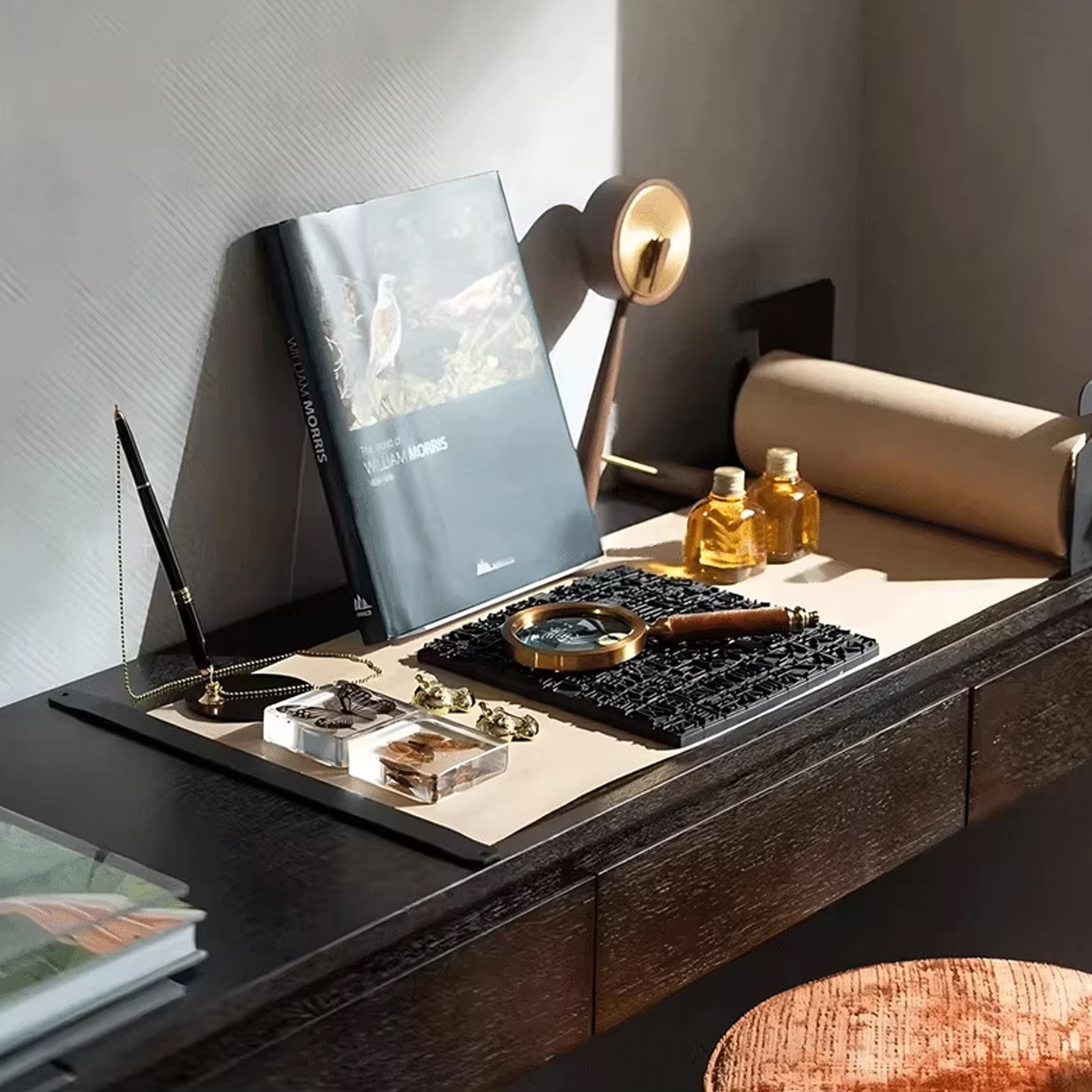 现代简约样板间书房书桌自然主题蝴蝶标本鸟类书籍放大镜软装摆件