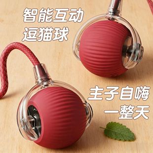 智能猫咪玩具解闷自动滚滚球逗猫棒解闷猫咪发声躲避球宠物用品