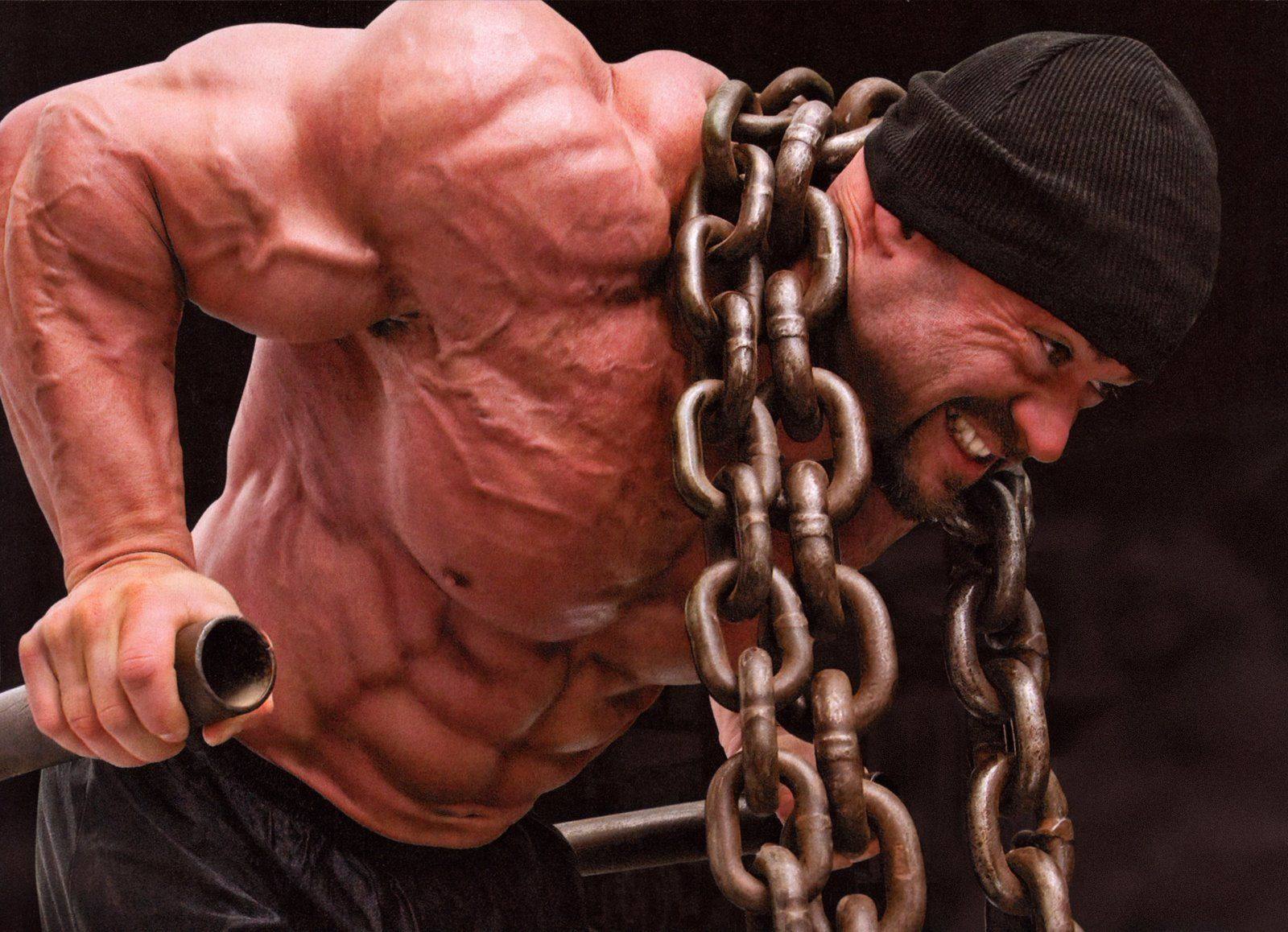 布兰奇沃伦branch warren健美先生肌肉男健身房宿舍海报装饰画44b