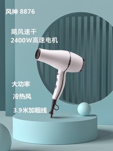 风神吹风机发廊专用家用小型电吹风机负离子大功率冷热风速干风筒