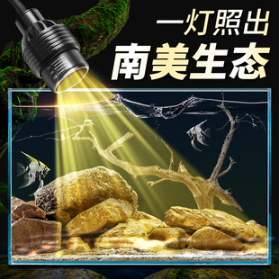 SQ鱼G缸灯变焦灯南美射灯原生溪流缸灯水族观赏灯照明led防水草灯