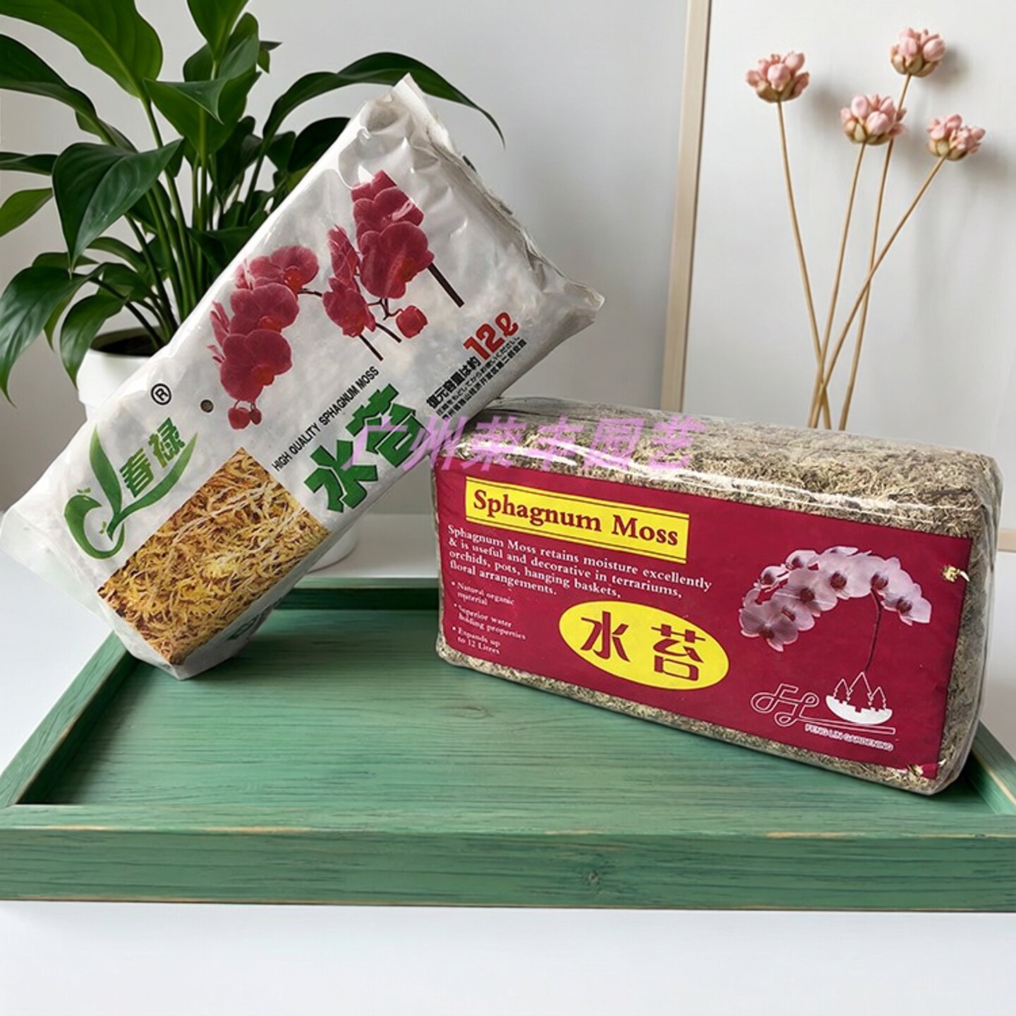 出口干水苔 苔藓 优质兰花无土栽培介质.保湿用A级水苔小包装包邮