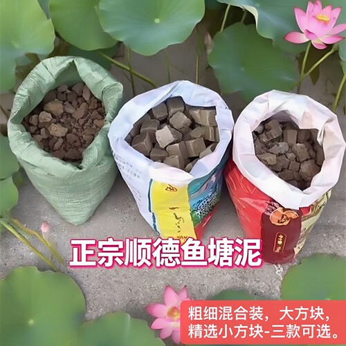 塘泥花卉通用泥土保水保肥鱼塘泥