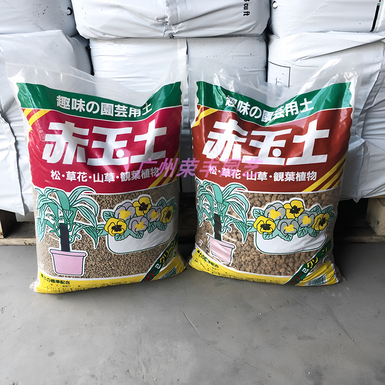 吉米赤玉土多肉盆景兰花用颗粒土