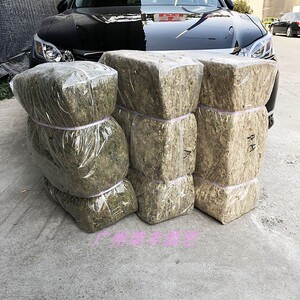 食虫植物微景观干水苔特价促销