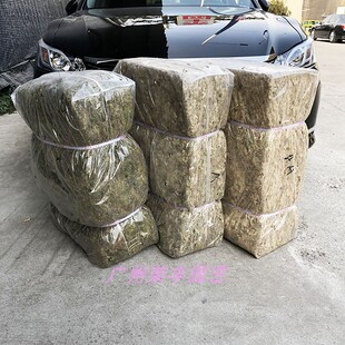 出口大包装干水苔 苔藓 (食虫植物 兰花 微景观用)包扎运输用水草