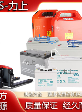 电动叉车电池免维护蓄电池电动搬运车专用电瓶锂电池12V65A85A