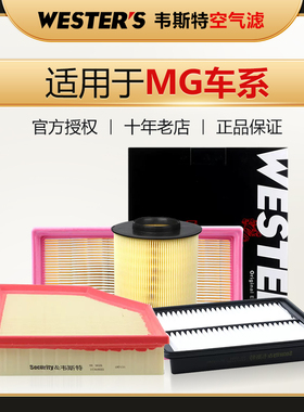 MGZS名爵MG3 MG5 MG6 MG7锐行GT锐腾GS领航HS空滤MGONE空气滤芯器