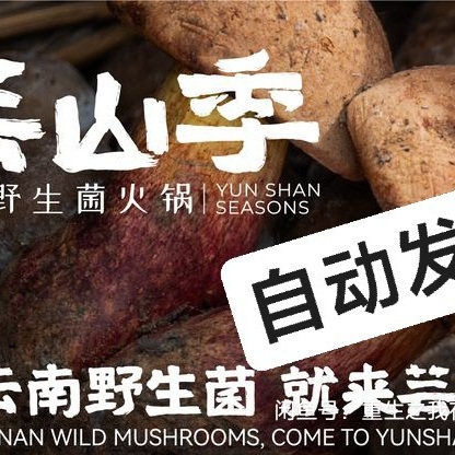 芸山季 云南野生菌火锅 100元200元300元400元 云山季 全国通用