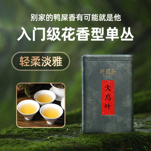 狮头脚【大乌叶】兰花香型