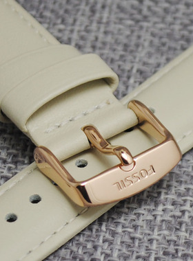 FOSSIL表带20mm真皮手表表带代fs4632bq1009fs4839me3078AR4532女