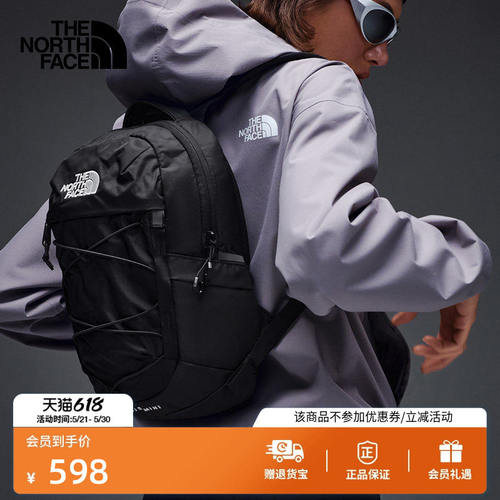 北面Borealis10L迷你双