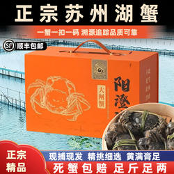 活蟹苏州阳澄探花湖水大闸蟹礼盒装公4.0两母3.0两10只鲜活螃蟹