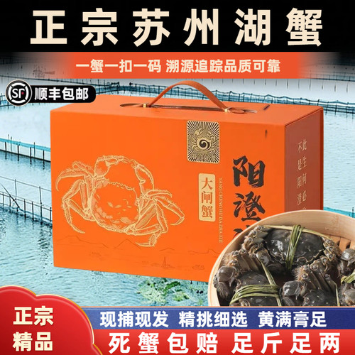 阳澄精品湖水特大大闸蟹