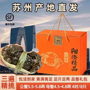 活蟹苏州阳澄探花湖水大闸蟹礼盒装公5.5两全母4.5两10只鲜活螃蟹