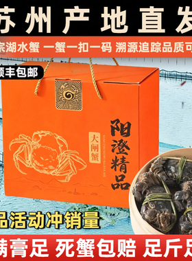 活蟹苏州阳澄探花湖水大闸蟹礼盒装公4.0两母3.0两10只鲜活螃蟹