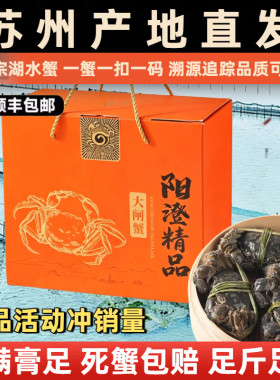阳澄精品湖水特大大闸蟹