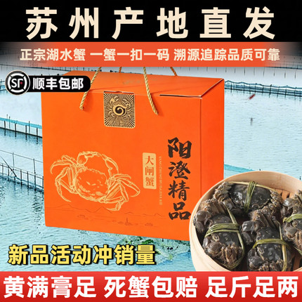 活蟹苏州阳澄探花湖水大闸蟹礼盒装公4.0两母3.0两10只鲜活螃蟹