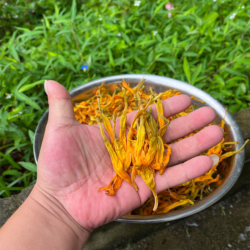 黄花菜【台湾品种】 优质金针菜 今年新货 无熏无添加