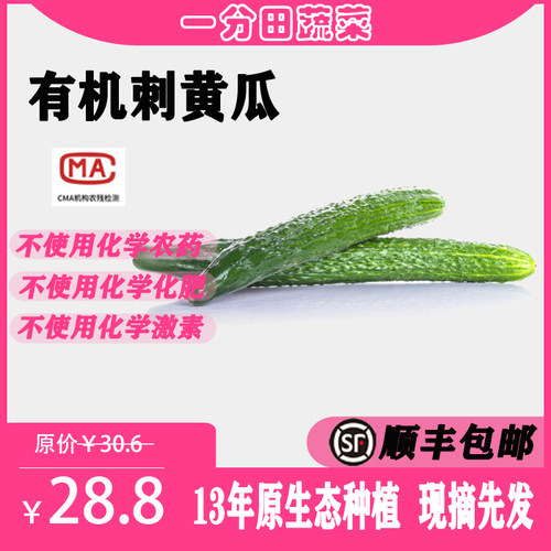 一分田有机黄瓜小时候的味道