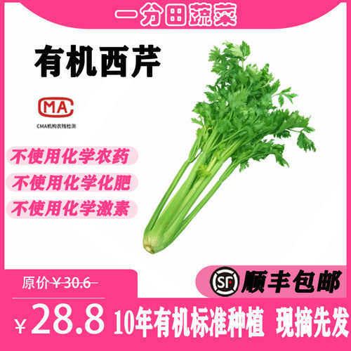一分田新鲜有机芹菜500g