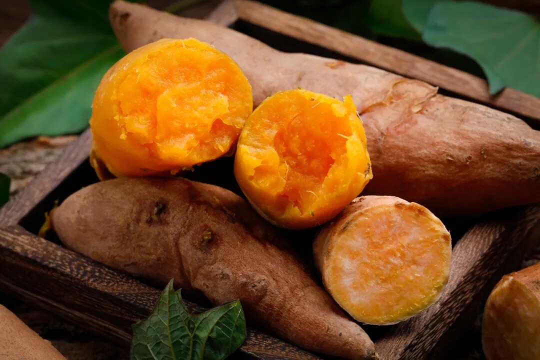 四川大巴山原生态绿色农产品黄心红薯番薯蒸煮烧烤天然食材包邮