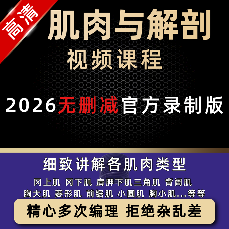 肌肉与解剖课程运动全身肌肉组织视频教程教学康复理疗练习课西医