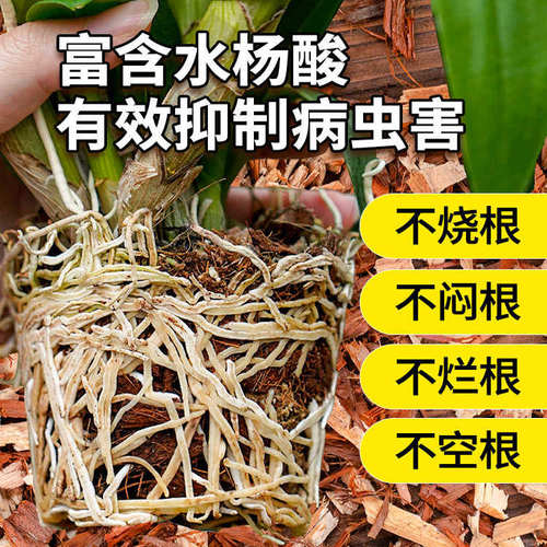 第三代新型兰花专用植料兰科营养土有机纯杉木屑质料君子兰蝴蝶兰