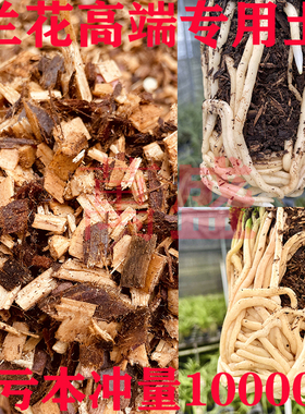新型兰花专用植料兰科营养土专用土有机纯杉木屑质料君子兰蝴蝶兰