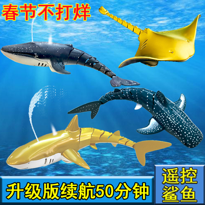 电动遥控鲨鱼仿真男孩玩具