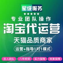 淘宝天猫代运营店铺托管直通车推广引流网店运营新开店铺运营服务