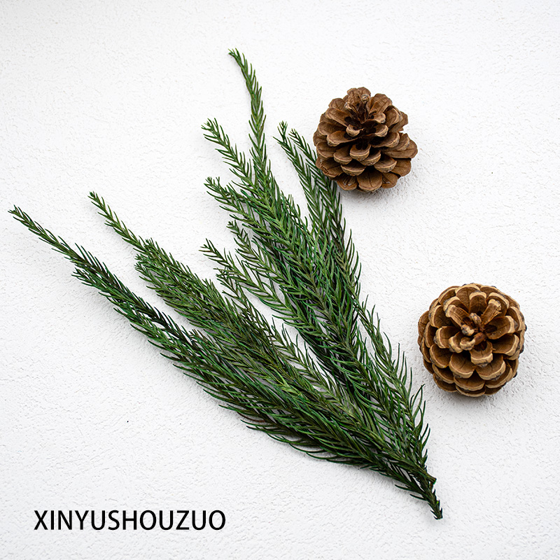 【天竺少女松】永生花葉材