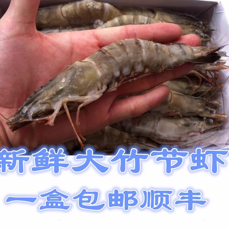 海捕大对虾竹节虾 鲜活斑节虾 青岛大草虾海虾 1盒顺丰包邮