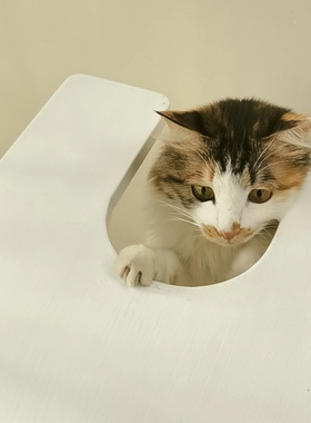 治愈系人猫边几共用白色沙发阳台茶几看书小桌子人猫家具两面可用