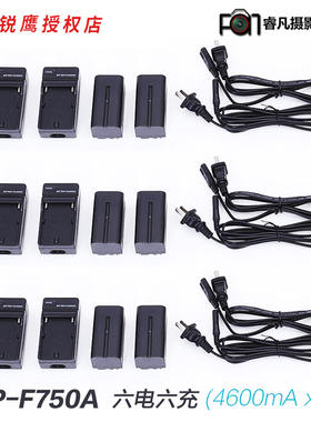 锐鹰  led摄影灯摄像灯4600mA用锂电池 NP-F750A锂电池六电六充
