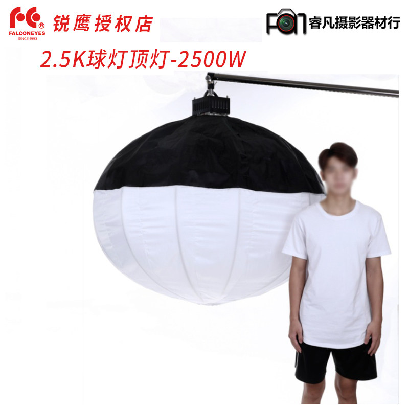 锐鹰 摄影灯摄像灯影视灯电影灯补光灯2.5K球灯顶灯