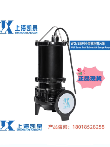 凯泉泵业上海铸铁电动节能排污泵