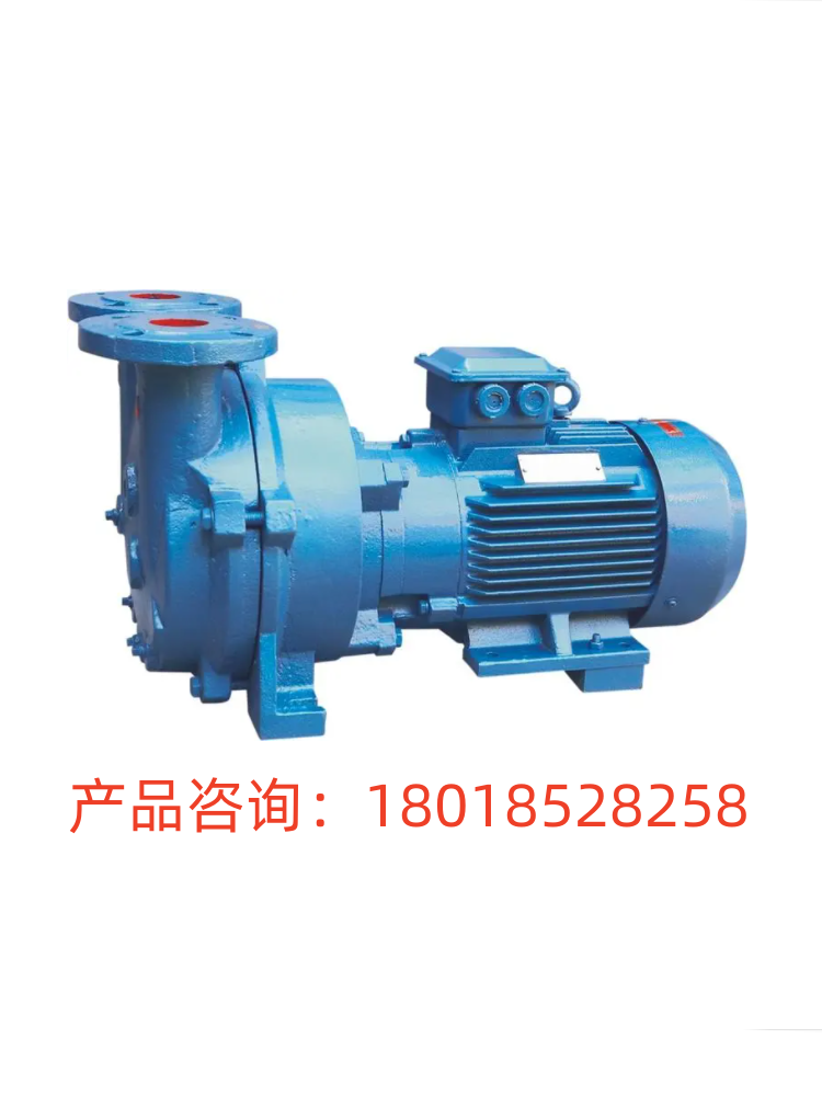沪一上海铸铁电动节能真空泵