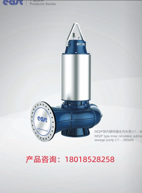 上海东方泵业 300WQ/P23341A不锈钢排污潜水泵 东方水泵